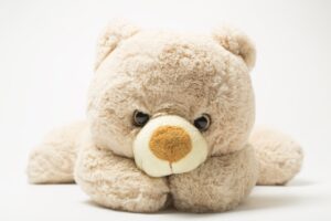 teddy day